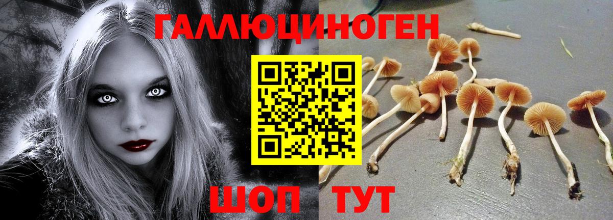 Галлюциногенные грибы прущие грибы  Вход с VPN  Учалы 